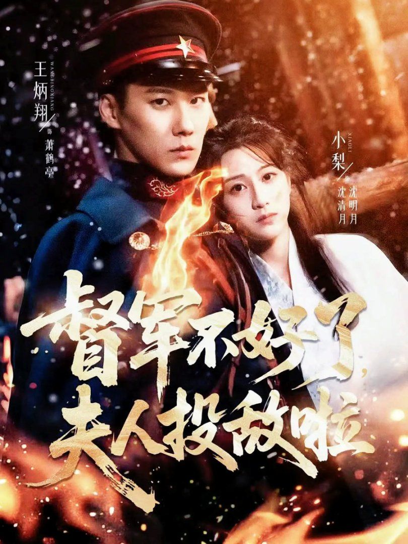 督军不好了，夫人投敌啦(清月照鹤亭)(全集)